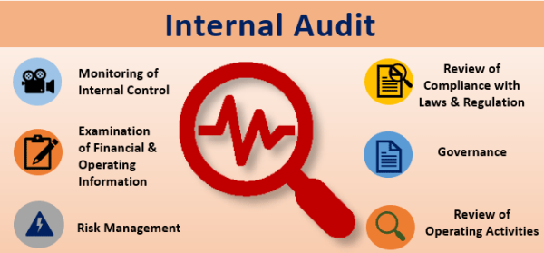 what-is-internal-audit-different-types-and-the-5-cs-petrokass